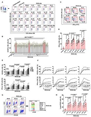 Deficient IL-2 Produced by Activated CD56+ T Cells Contributes to Impaired NK Cell-Mediated ADCC Function in Chronic HIV-1 Infection